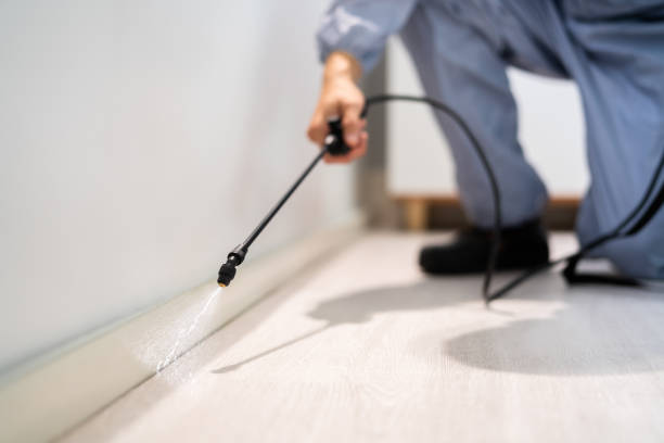 Bed Bug Pre-Treatment Preparation Assessment in Woodfin