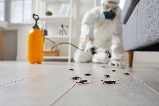 Post-Treatment Bed Bug Interceptor Monitoring in Woodfin