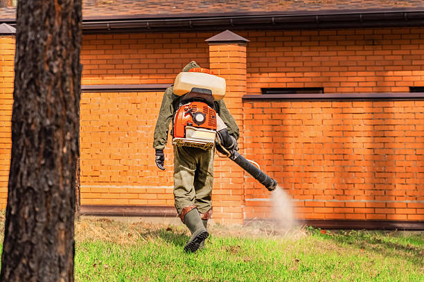 Bed Bug Clearance Verification and Documentation in Woodfin